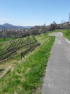 Itinerari Tra I Vigneti Trail through Vineyards