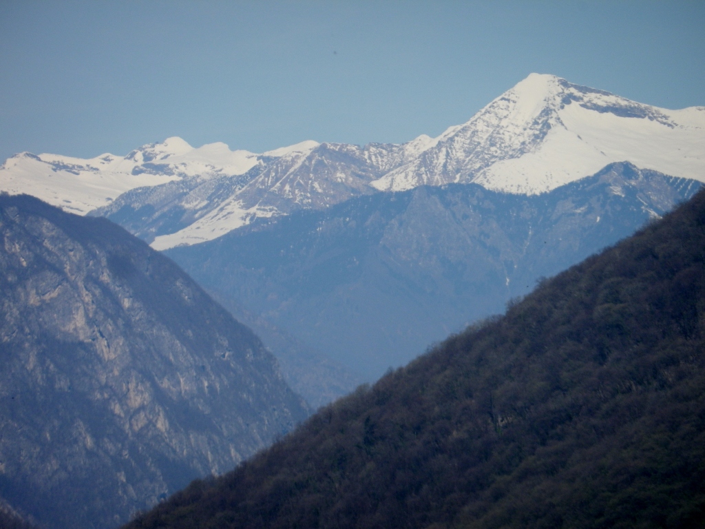 Alps Seen from the Trail