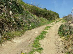 Steep Downhill Section with Sand 