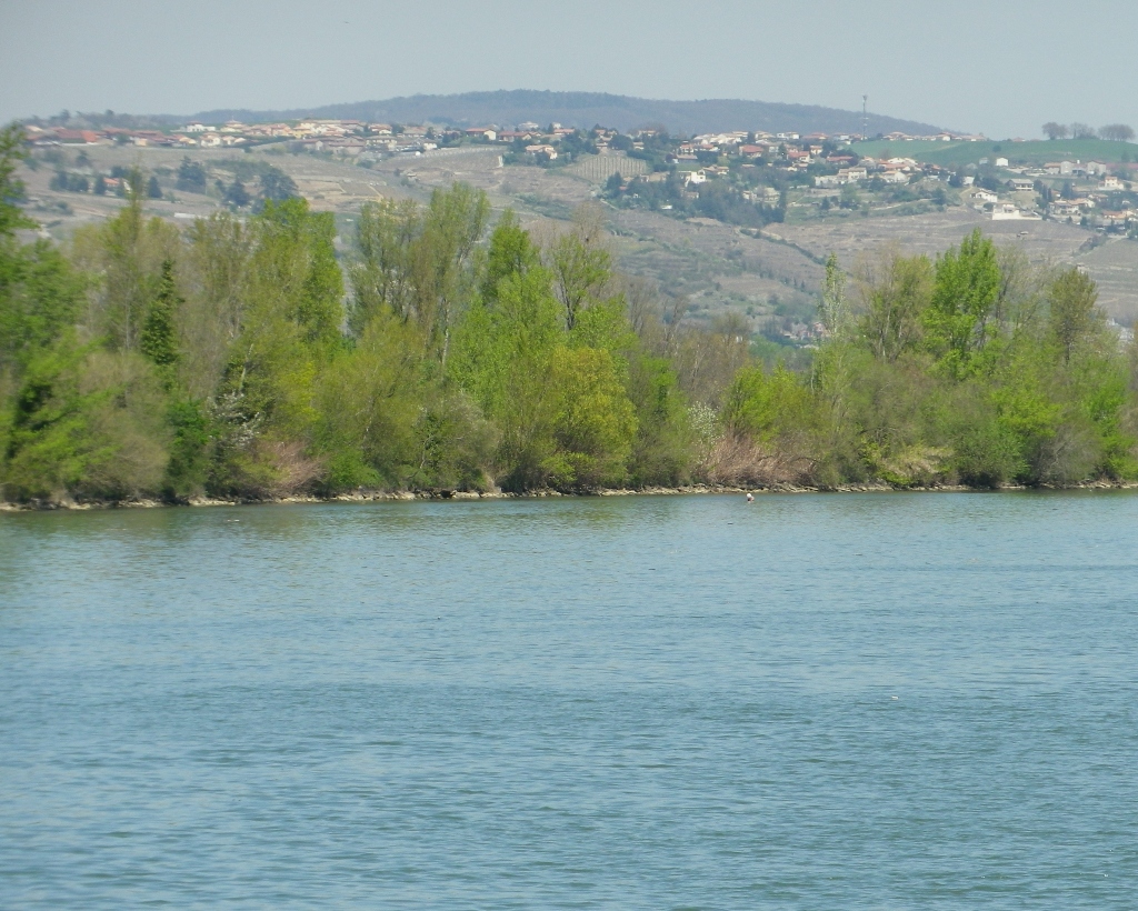 Rhone River Banks 