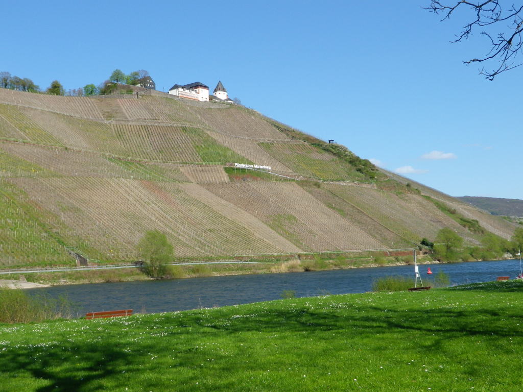 Marienburg from Puenderich