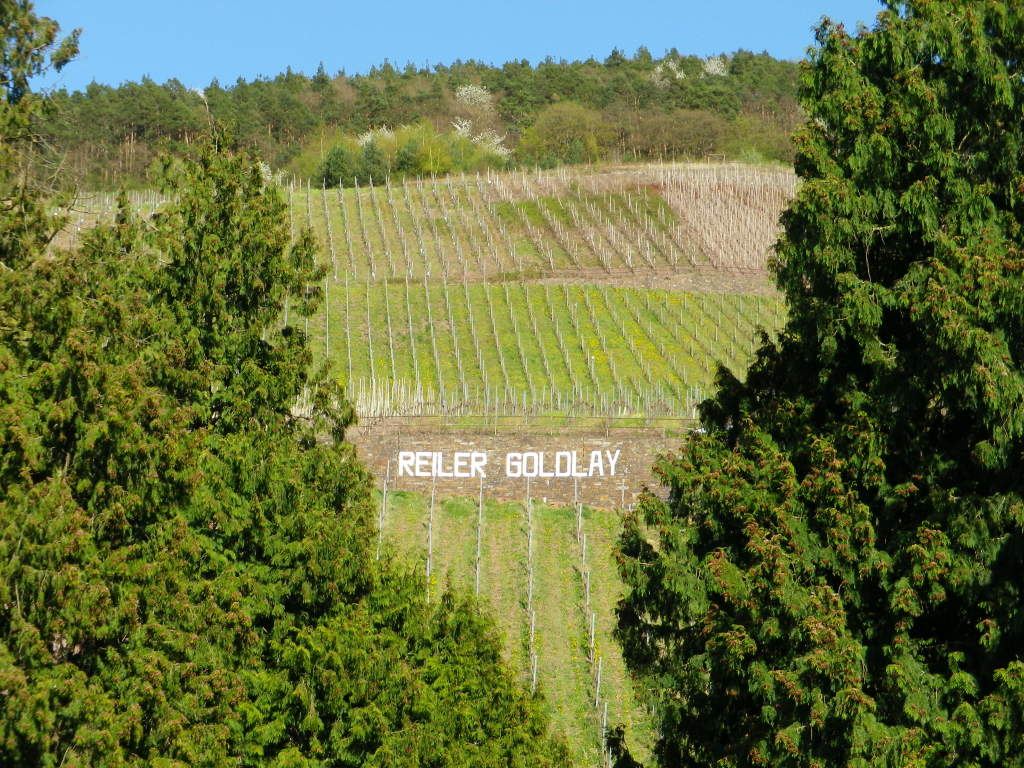 Reiler Goldlay Vineyard