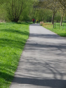 Section of the Moselle Radweg