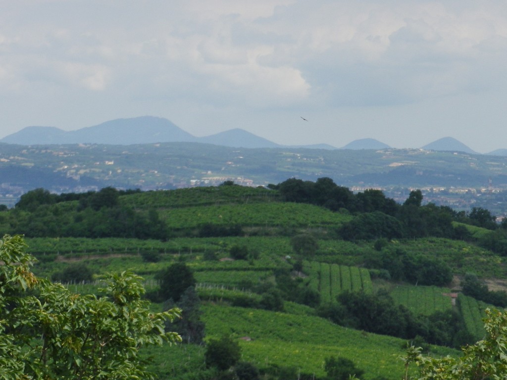 View of the Berici and Euganei Hills