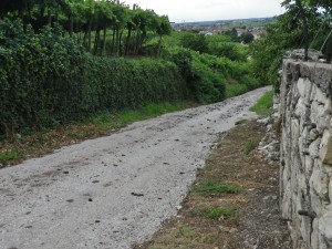Trail Segment of Dieci Capitelli