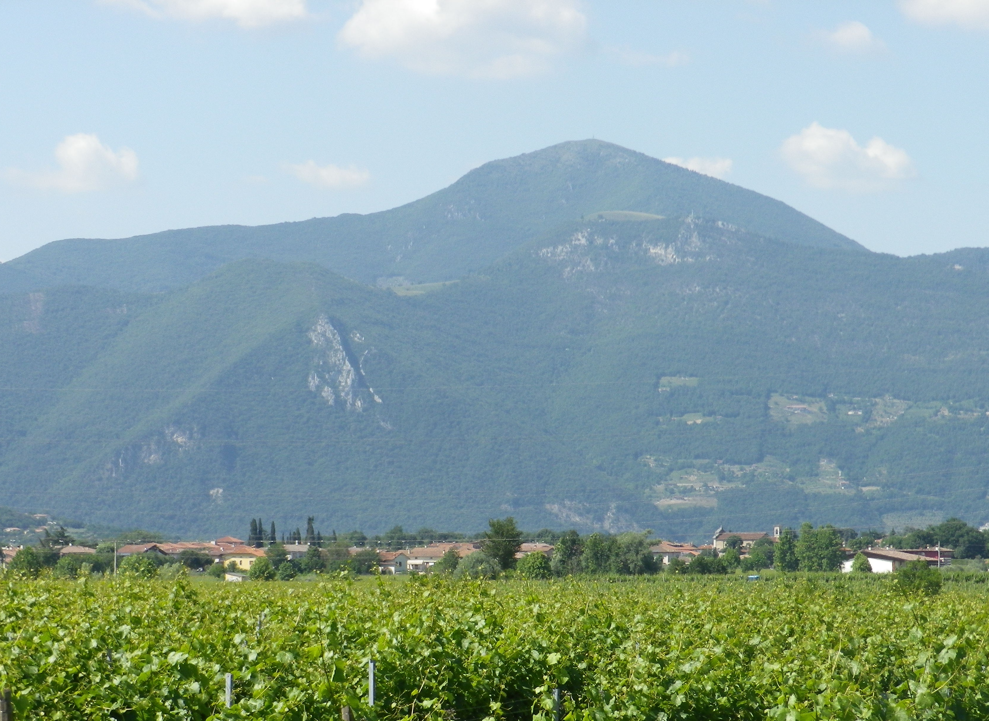 Seen from Borgonato