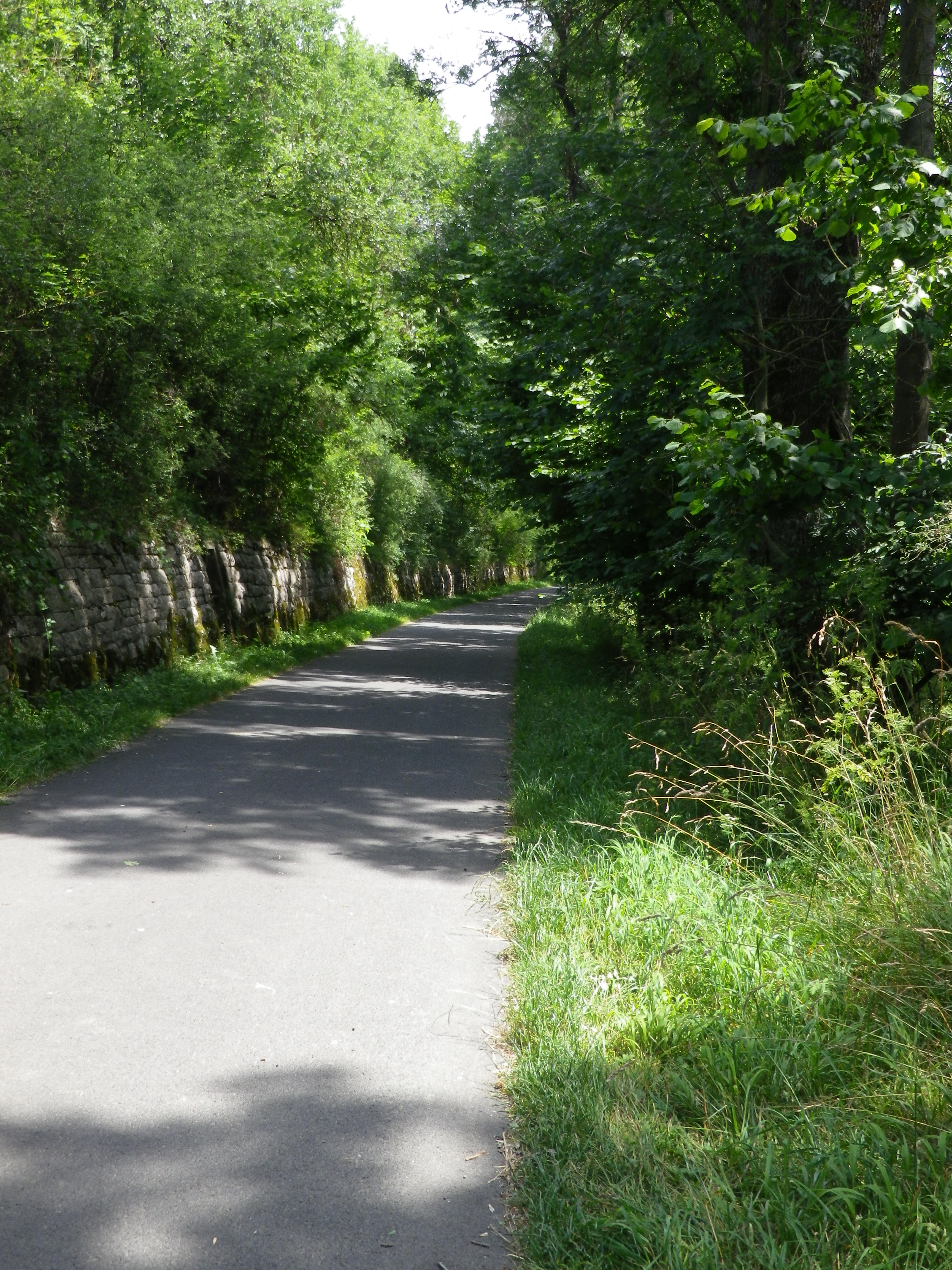 Shady Interlude on the Trail