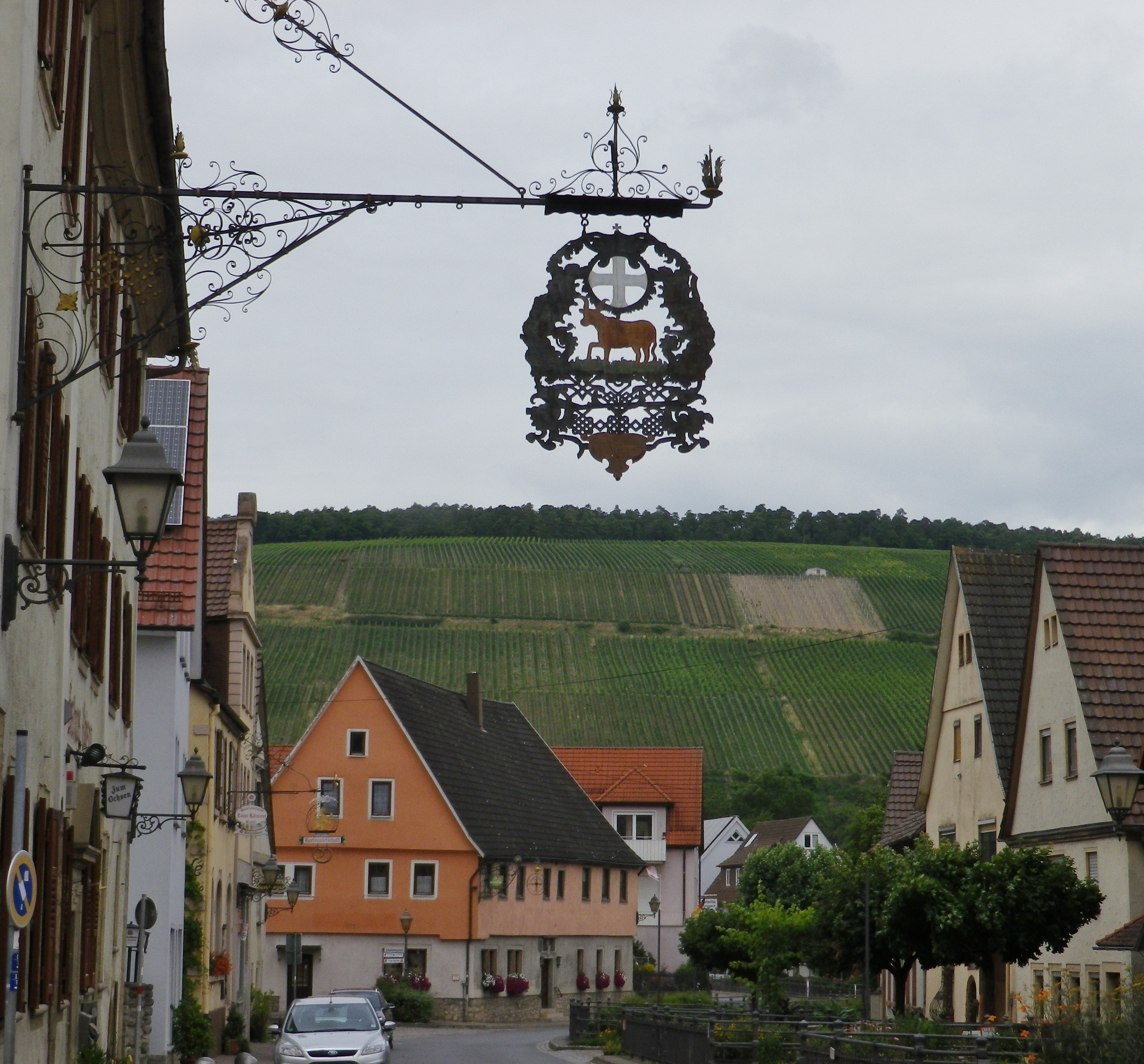 Markelsheim and its Vineyards