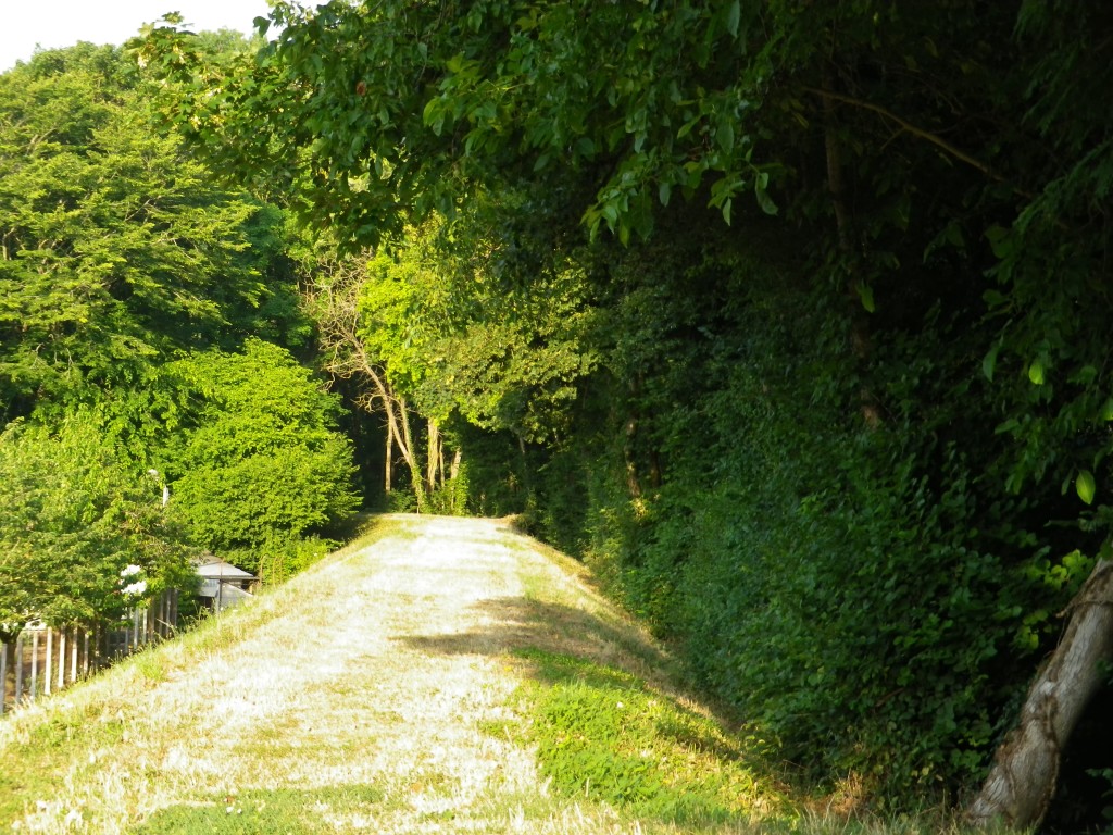 On the Trail on the Embankment