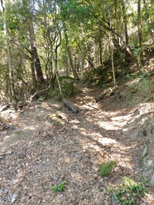 Trail Section V0