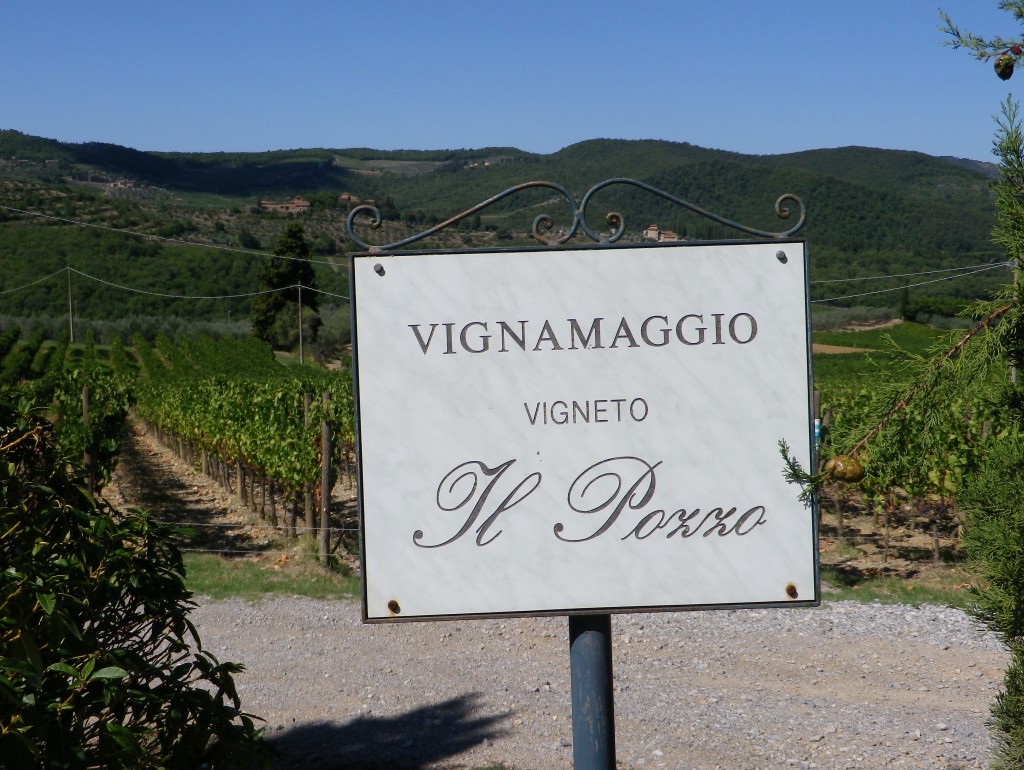 Vignamaggio Vineyard