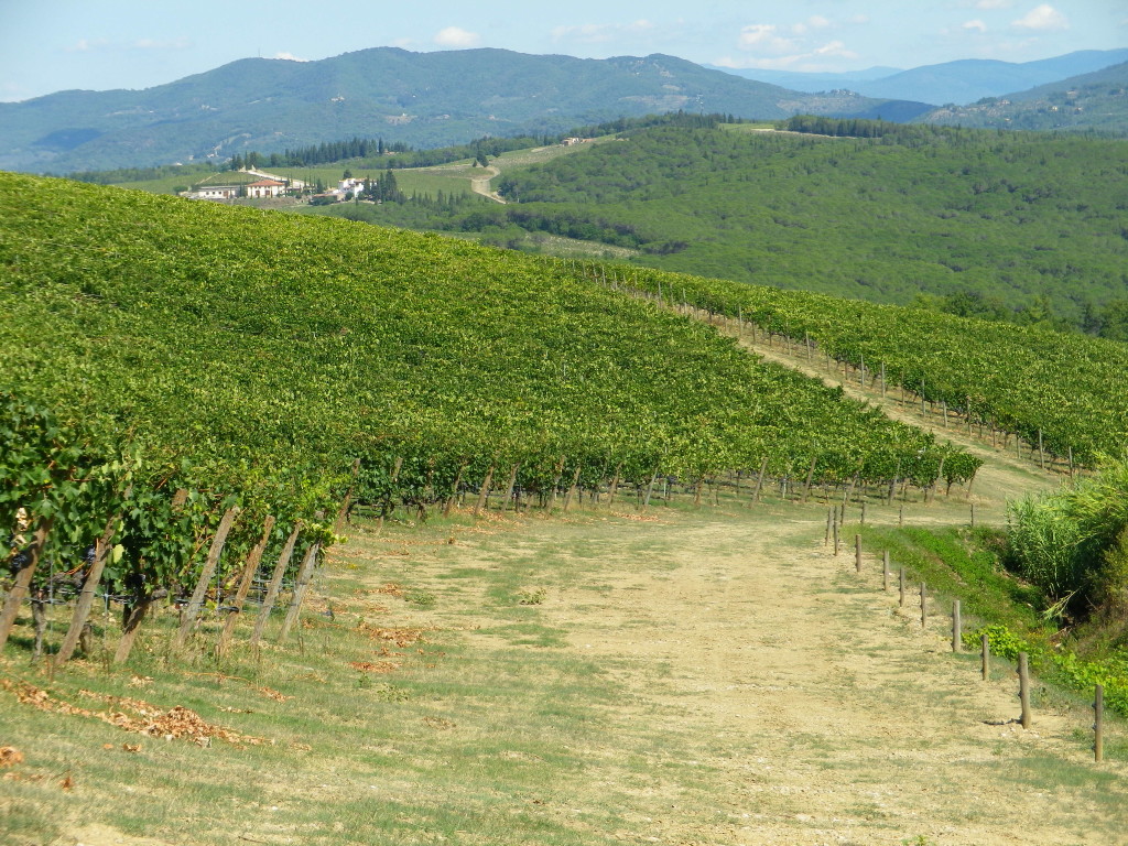 On the Trail, Castello di Gabbiano