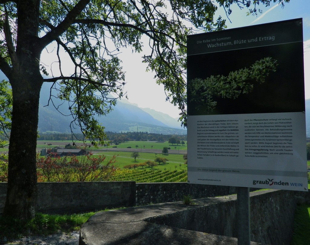 Wine Education Trail, Malans