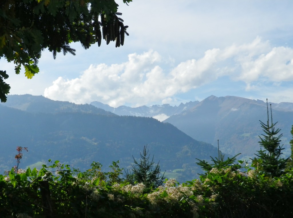 Mountains Flanking the Rhine Valley