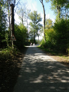 Trail below Jenins