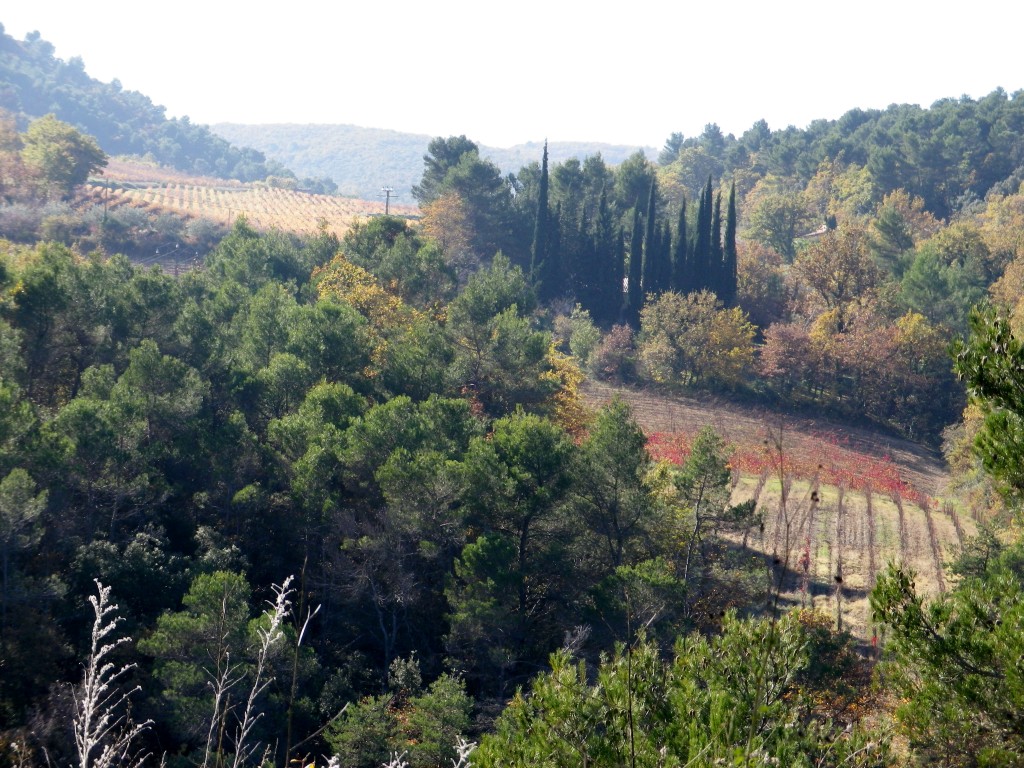 Provencal Countryside