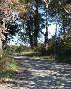 Representative Trail Segment