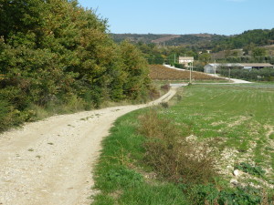 On the Trail, Visan