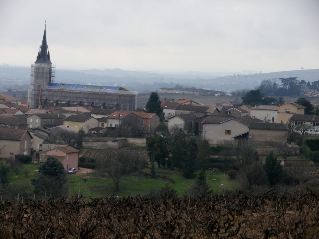 Village of Fleurie