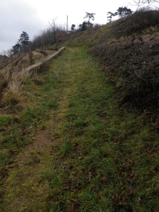 Representative Trail Surface away from Vineyards