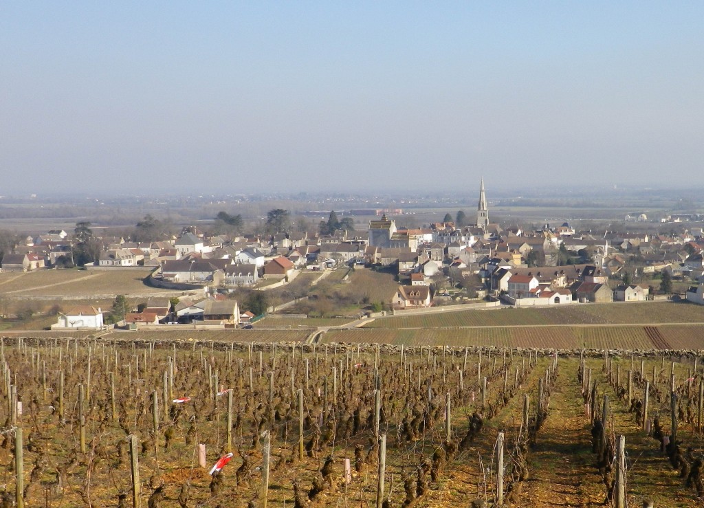 Meursault and its Vineyards