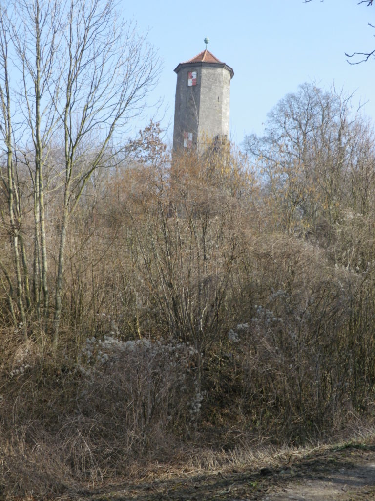 Castle Tower, Castell