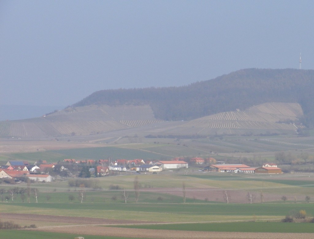 Steigerwald Wine District: Greuth and its Bastel