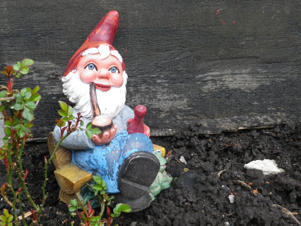 Wine-drinking Gnome