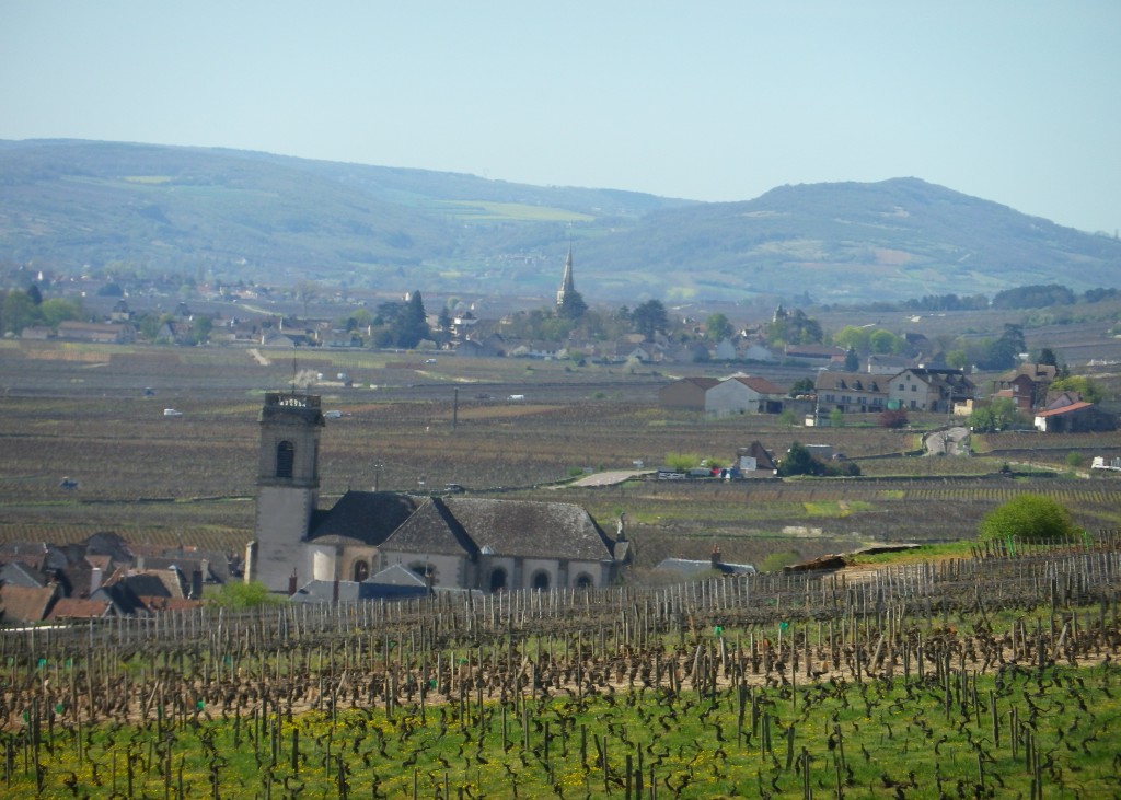 Cote de Beaune: Pommard and Meursault