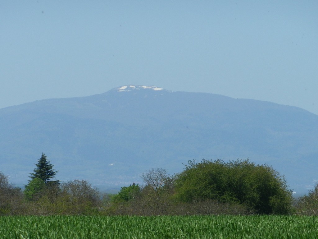 Snow on the Mountains, The Vosges