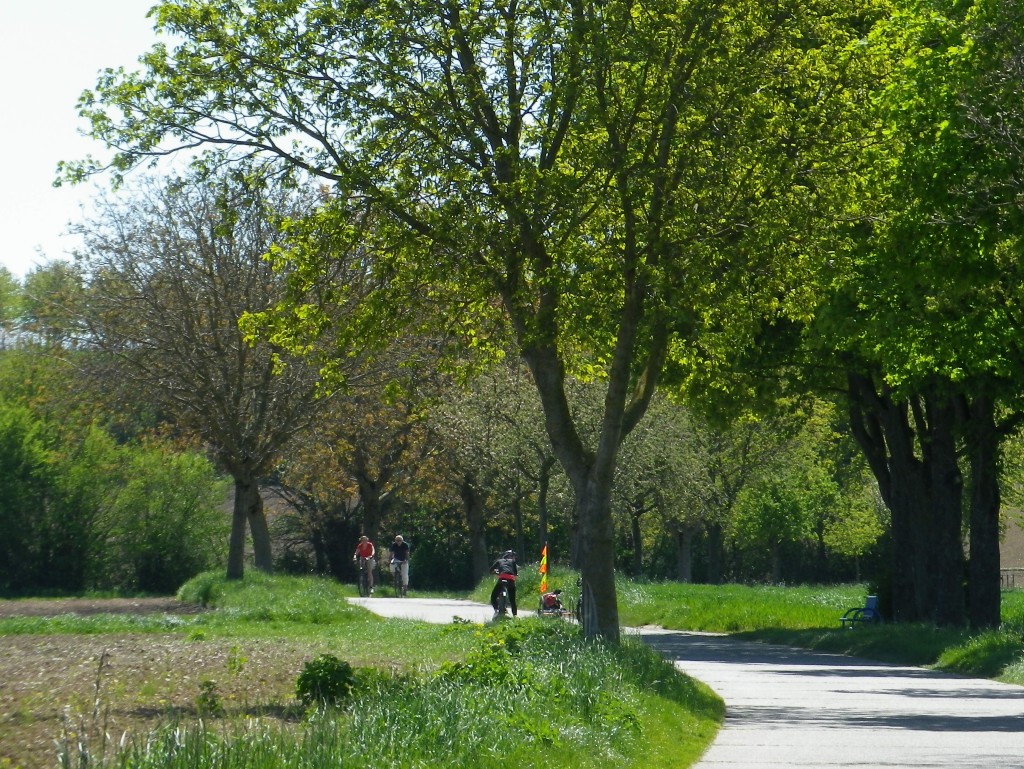 Cyclists on the Trail