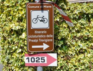 Trail Signs: CAI 1025 and Itinerario Prealpi Trevigiane