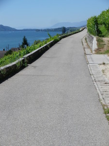 An Incline on the Trail