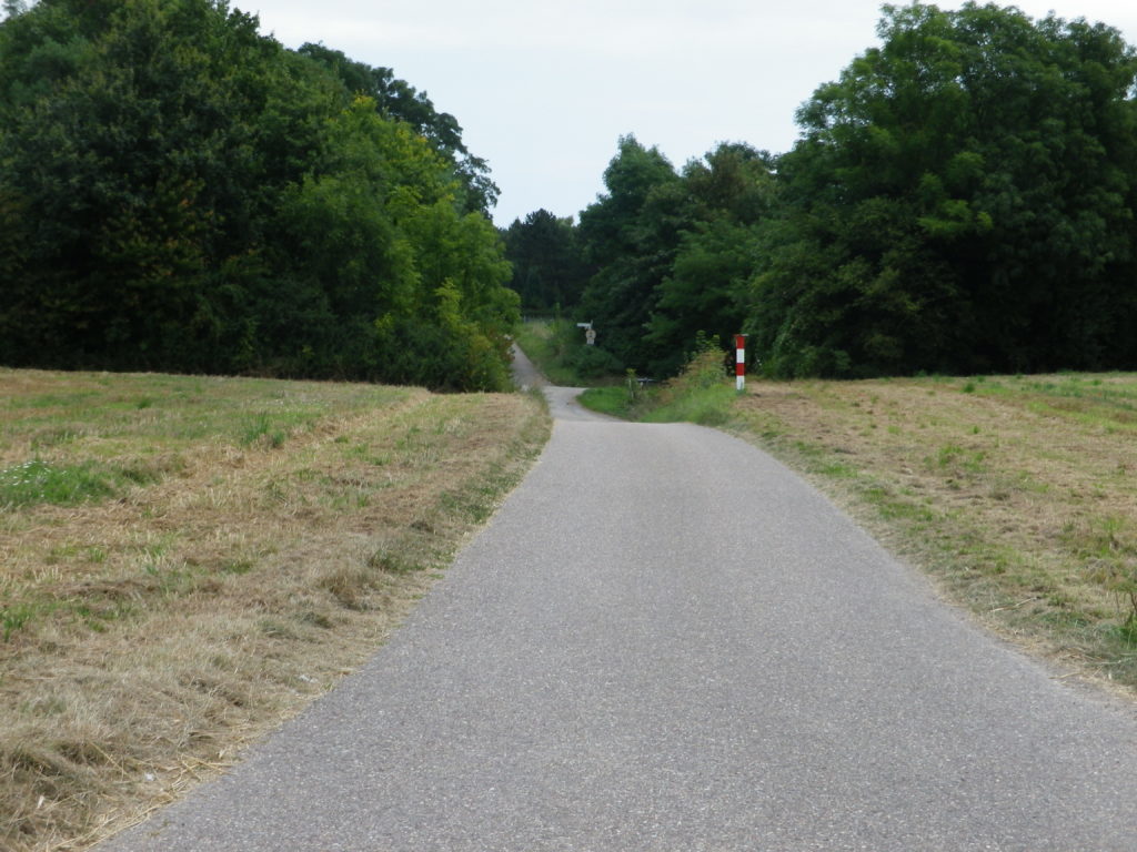 Trail Section through Fields