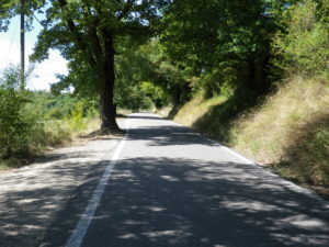 Trail Along a Country Road