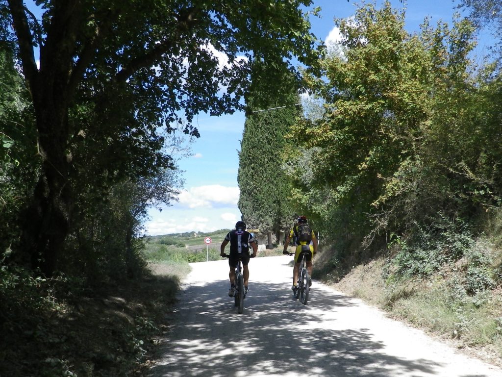 Cyclists on a Strada Bianca