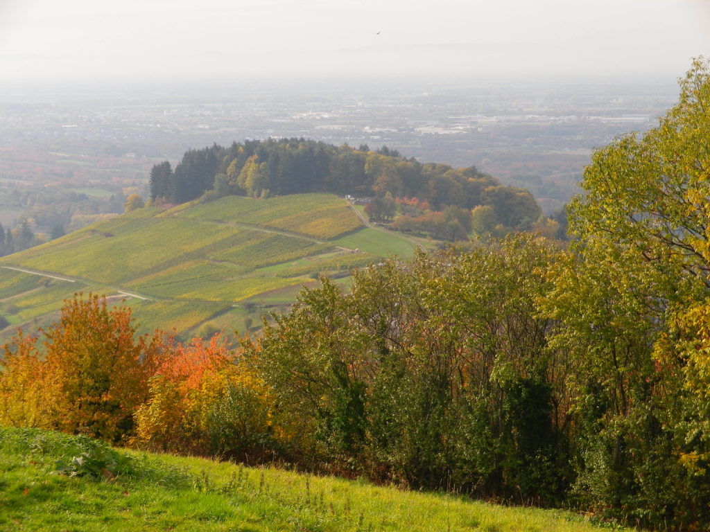 Valley Views to the Vosges