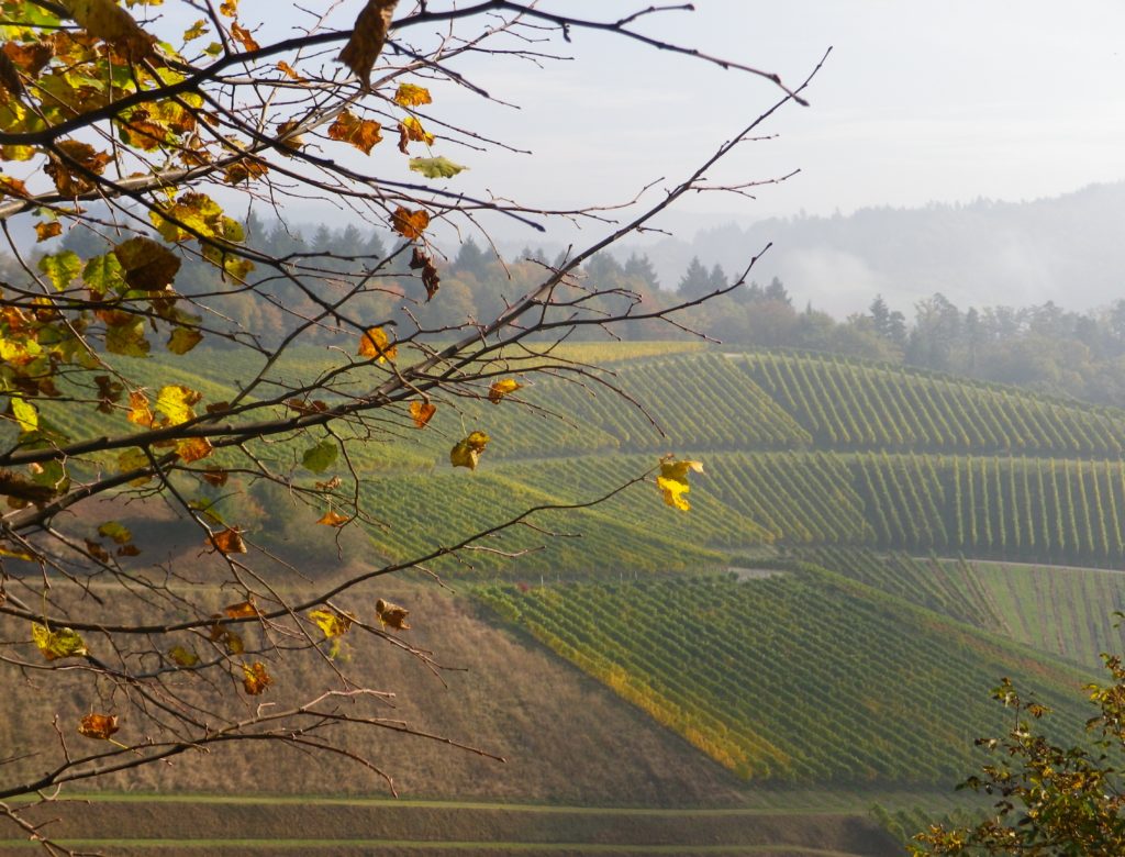 Hills, Durbach