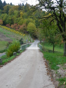 Trail Surfaces in Woods, Fields