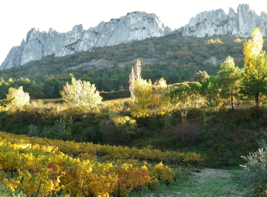 Dentelles