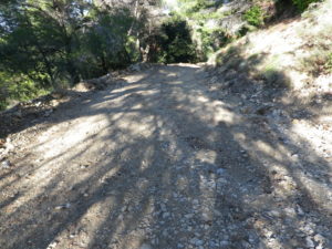 Trail Segment 