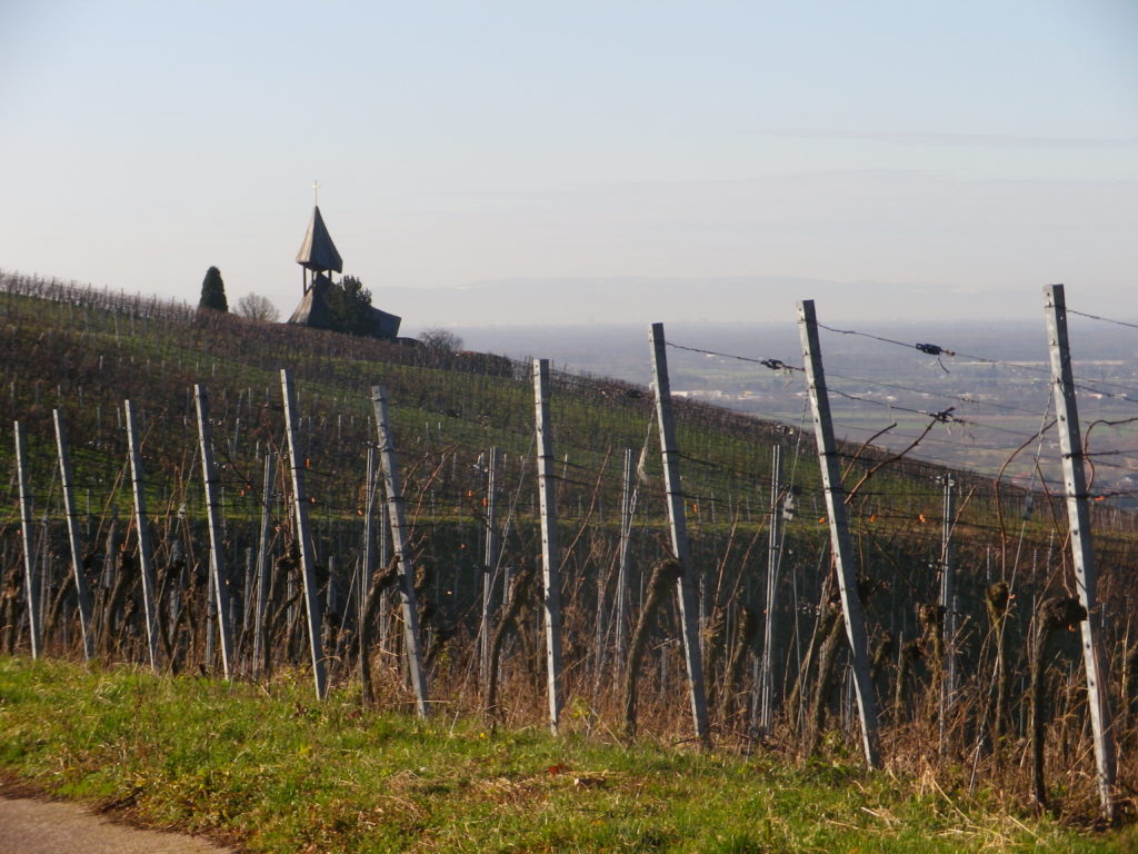 Chapel in the Vines Above Varnhalt