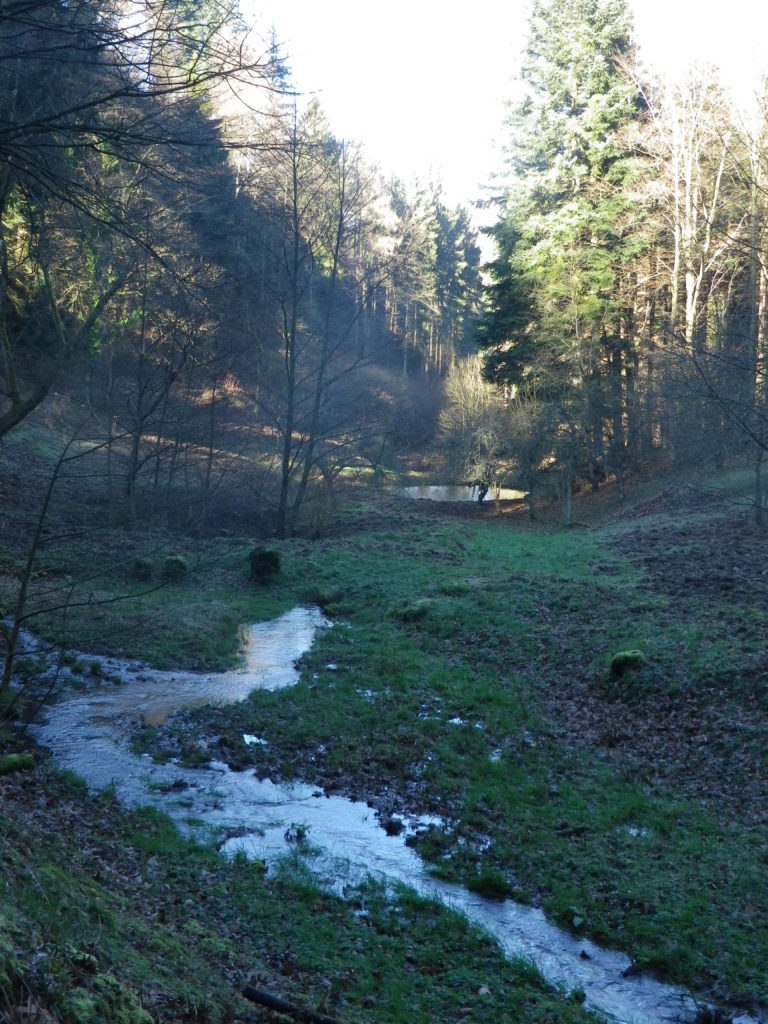 Creeks and Pools