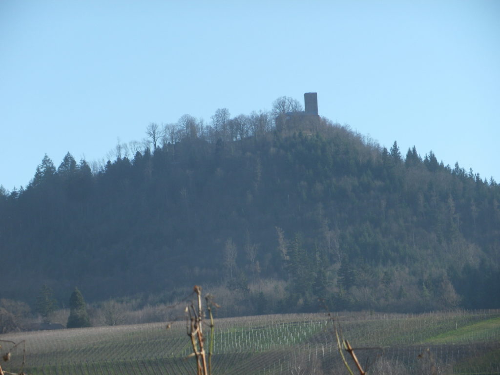 Castle and Mountain of Yberg