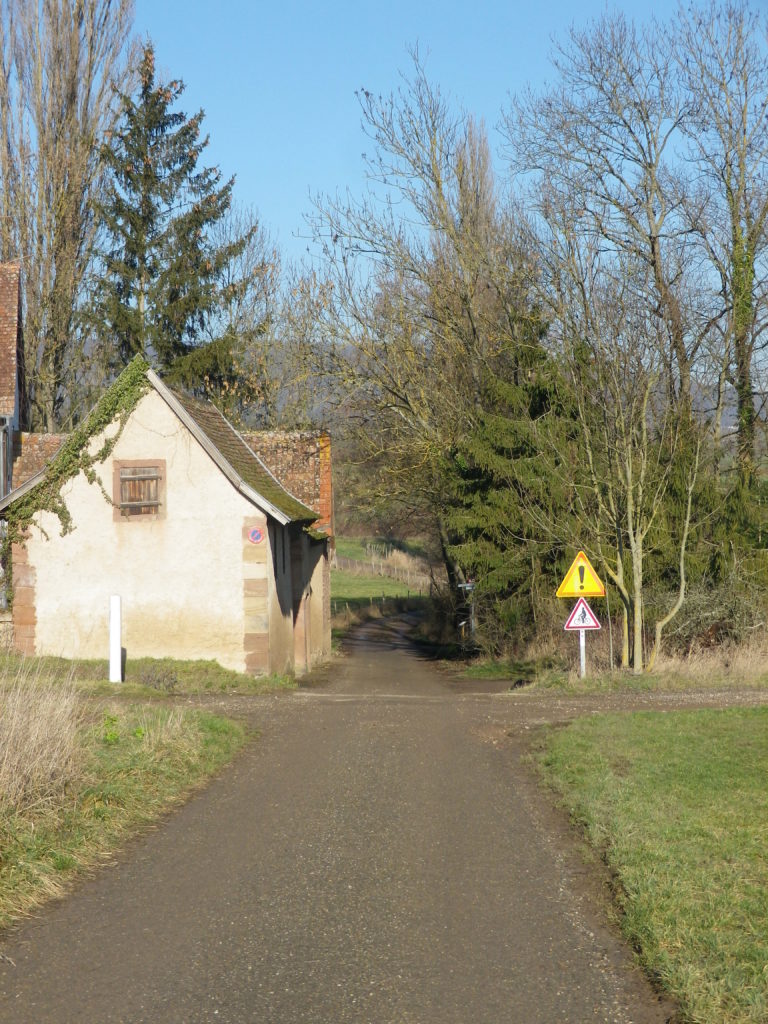 By the Velo-Route du Vignoble Trail