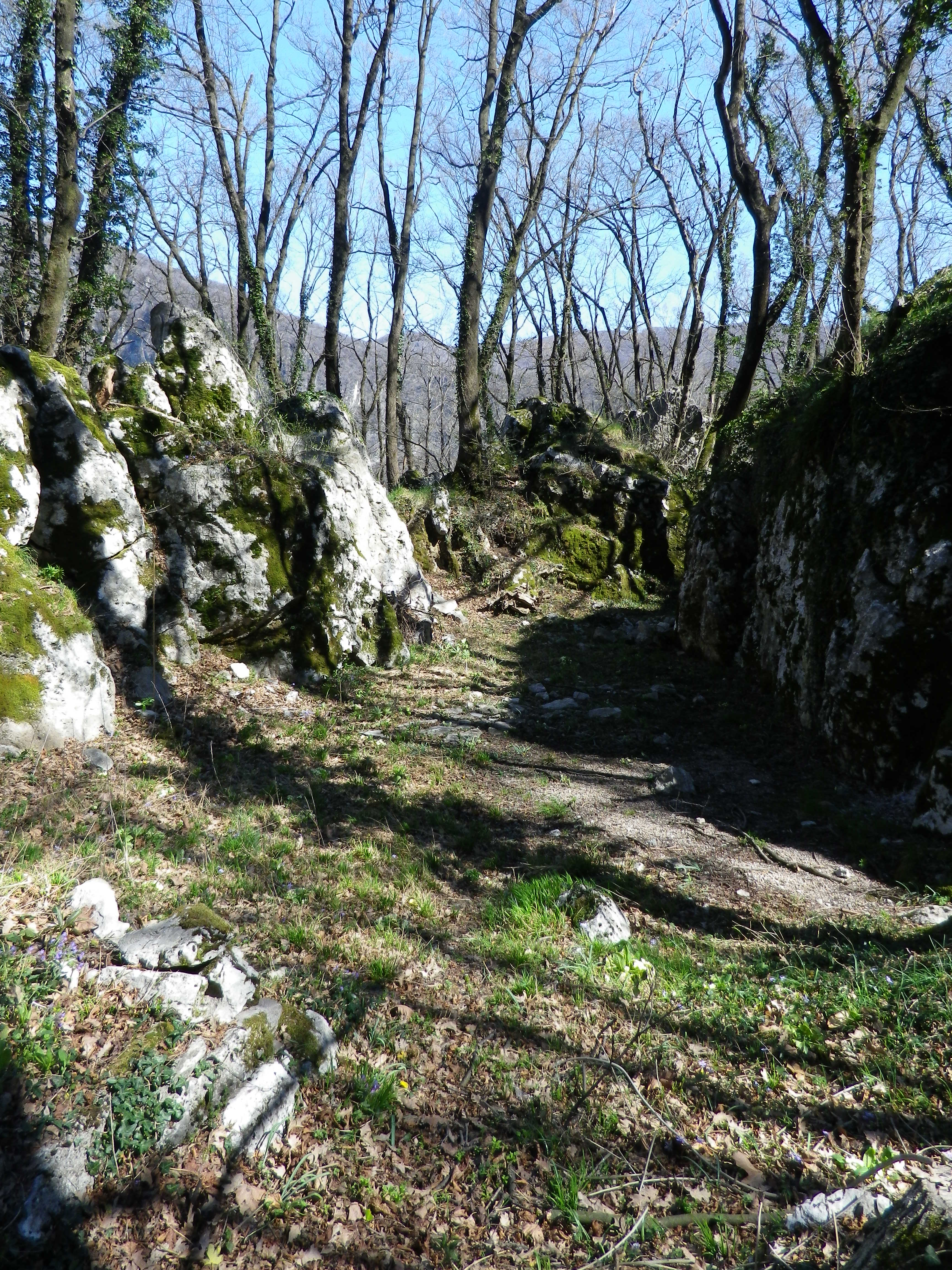 Old Quarry