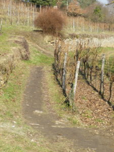 Trail from the Castle