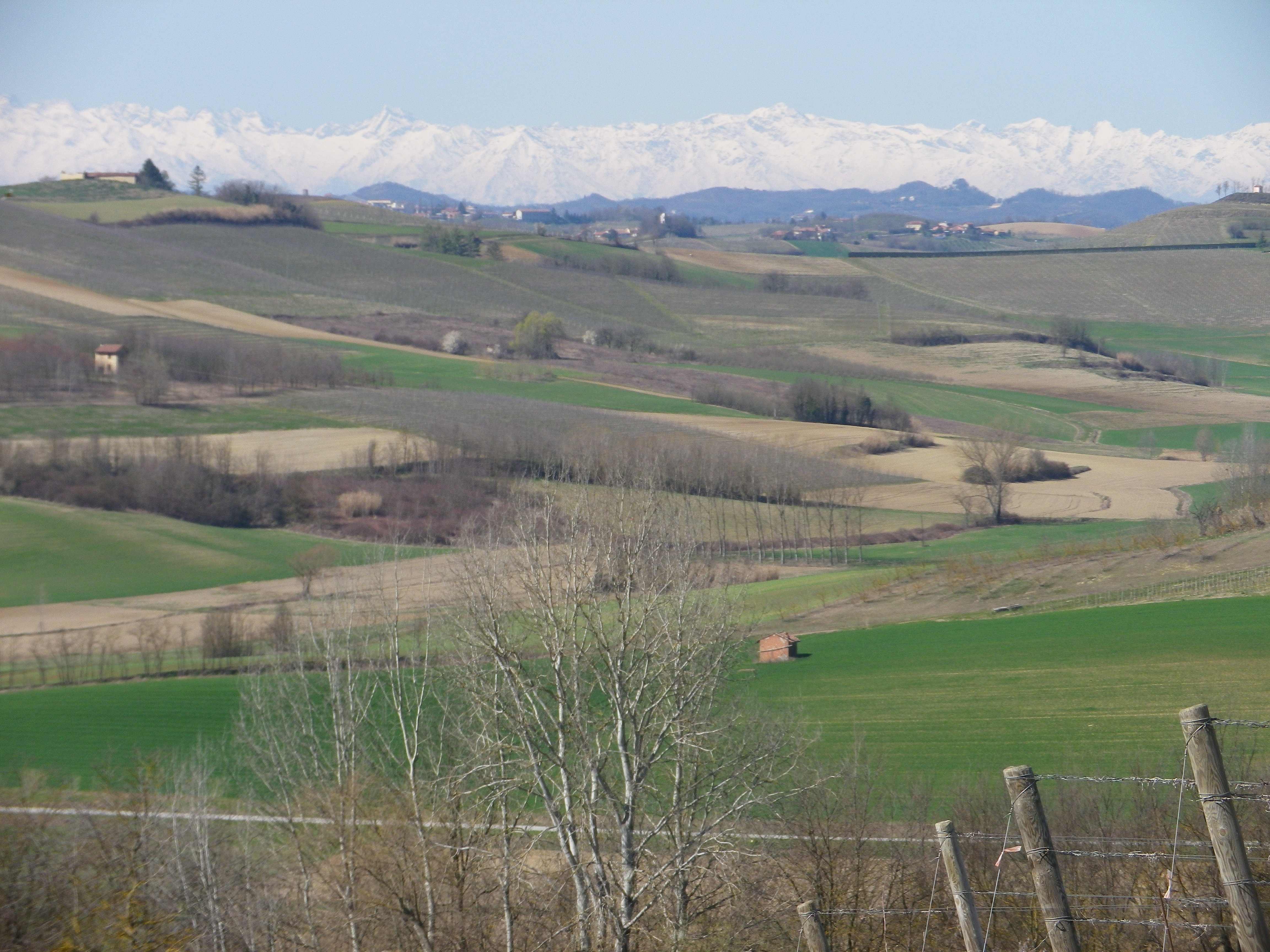 Monferrato Countryside