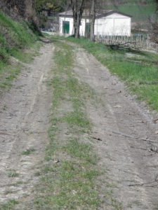 Trail Surface outside Casorzo