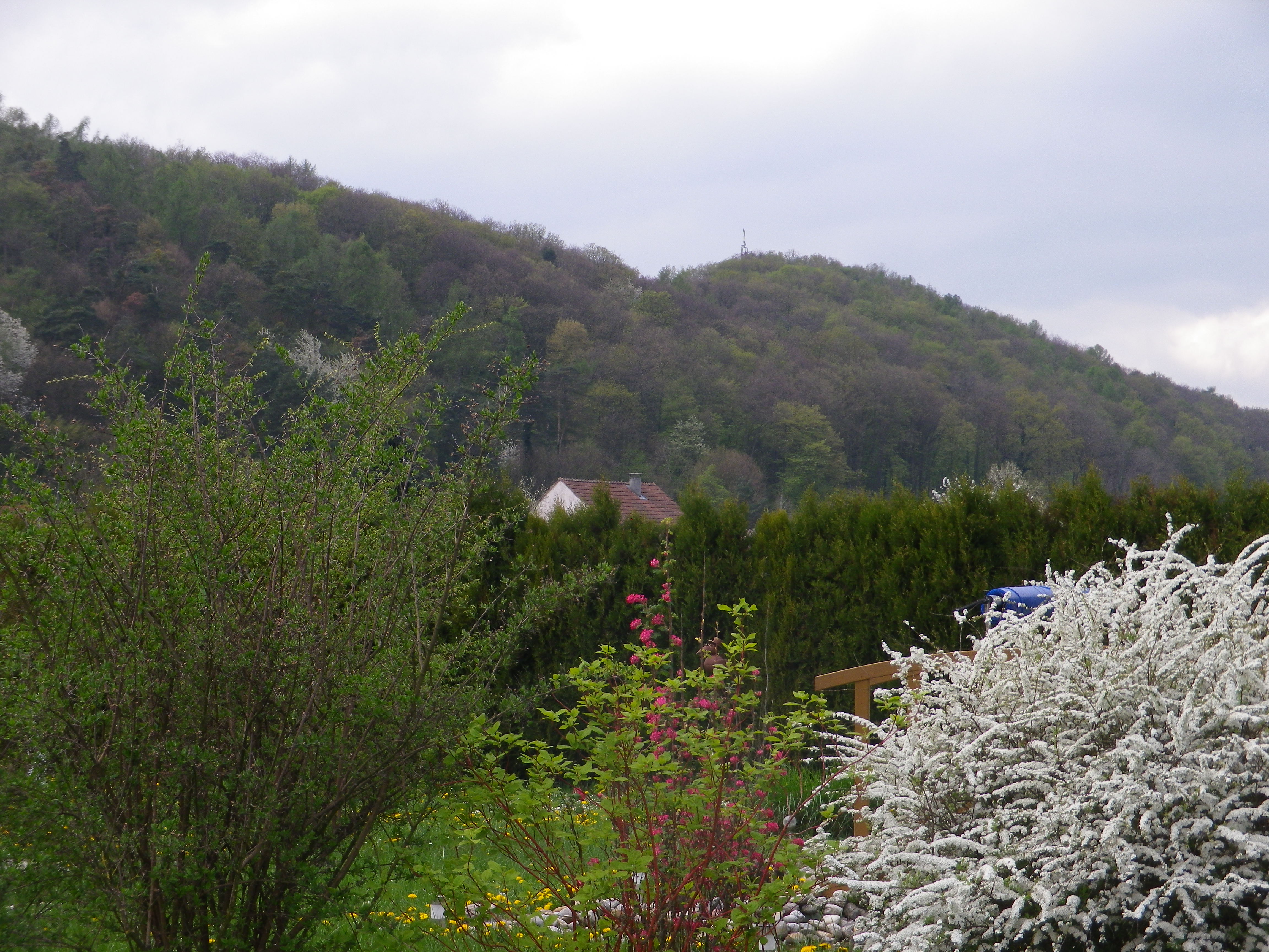 Glimpse of the Hilltop Corkscrew